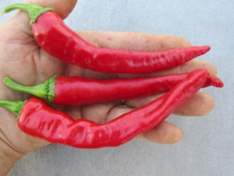 Maule's Red Hot ****