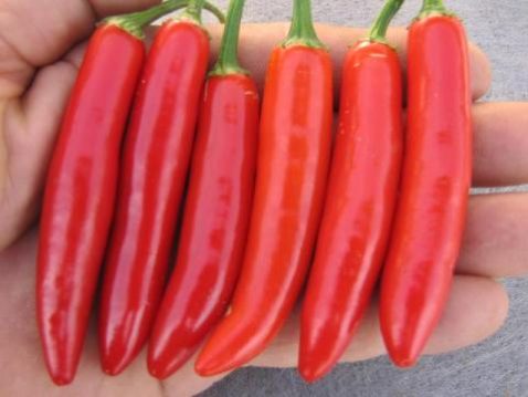 Serrano Del Sol ***