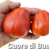 Cuore di Bue