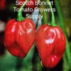 Scotch Bonnet ****