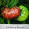 Cherokee Carbon