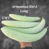 Cuke Armenian Yard Long