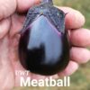 EP Meatball