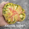Ananas Noire (aka Black Pineapple)
