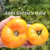 Aunt Gertie’s Gold