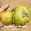 Aunt Ruby’s German Green