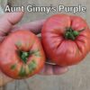 Aunt Ginny’s Purple