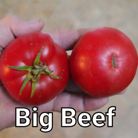 Big Beef