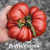 Buffalosteak