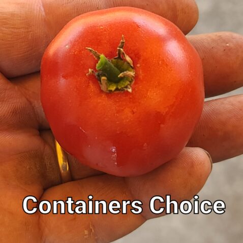 Containers Choice