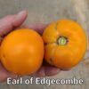 Earl of Edgecomb