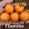 Flamme