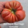 Heirloom Marriage (TM) Genuwine