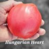 Hungarian Heart