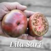 Lila Sari