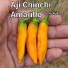 Aji Chinchi Amarillo ****