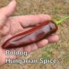 Boldog Hungarian Spice *