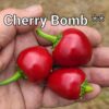 Cherry Bomb **