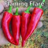 Flaming Flare ****