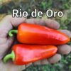 Rio de Oro ***