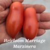 Heirloom Marriage (TM) Marzinera