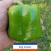 Big Green