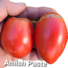 Amish Paste