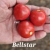 Bellstar