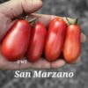 San Marzano