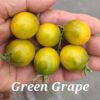 Green Grape