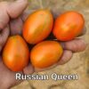 Russian Queen