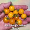 Aunt Ruby’s Yellow Cherry