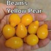 Beam’s Yellow Pear