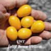 Jelly Bean – Yellow