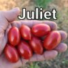 Juliet