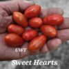 Sweet Hearts