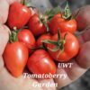 Tomatoberry Garden