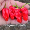 Dragon’s Breath *****