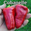 Cubanelle