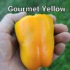 Gourmet Yellow