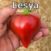 Lesya