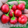 Mini Red Bell