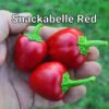 Snackabelle Red