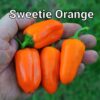 Sweetie Orange