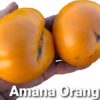 Amana Orange