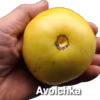 Azoychka