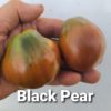 Black Pear