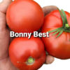 Bonny Best