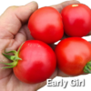 Early Girl