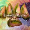 Everett’s Rusty Oxheart
